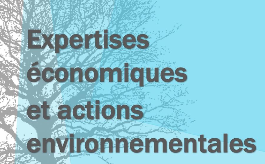 Séminaire Expertises économiques et actions environnementales